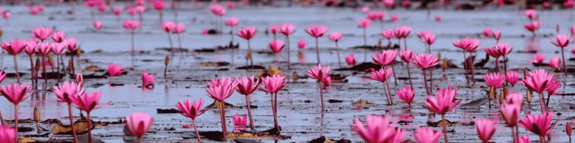 Find Arlington VA AA Meetings Espanol for Support & Recovery