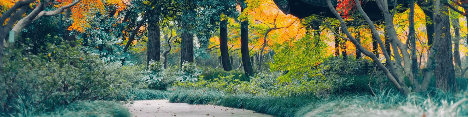 Find Portland AA Meetings & Gain Hope for a Better Tomorrow Find Portland AA meetings and gain hope for a better tomorrow