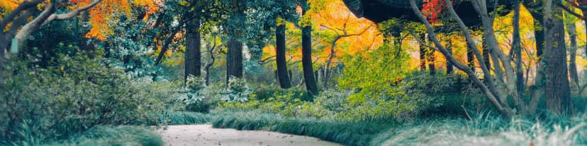 Find Portland AA Meetings & Gain Hope for a Better Tomorrow