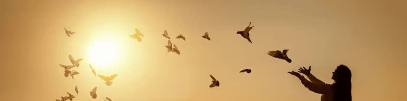 Finding Hope and Strength at Local AA Meetings Charlotte