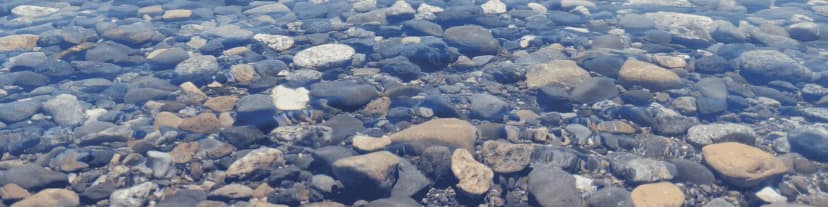 From Rock Bottom to Hope: My AA Meetings Manhattan Story