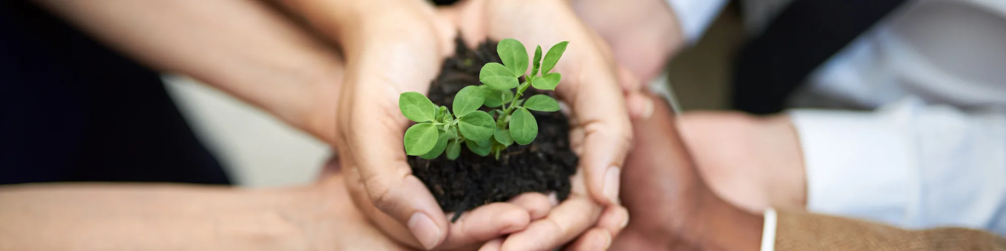 Gain Clarity and Motivation From Just for Today AA 17/12/25 Reflect on Recovery Lessons From Just for Today AA 17/12/25