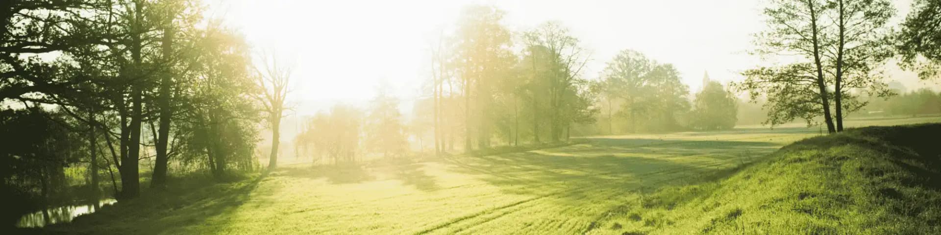 Get Sober, Stay Sober: Benefits of AA Near Me Discover the benefits of AA near me and find the support you need to get sober and stay sober