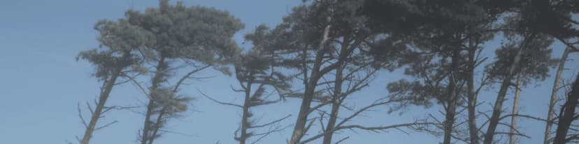 Get Sober, Stay Strong. Search for AA Near Me!