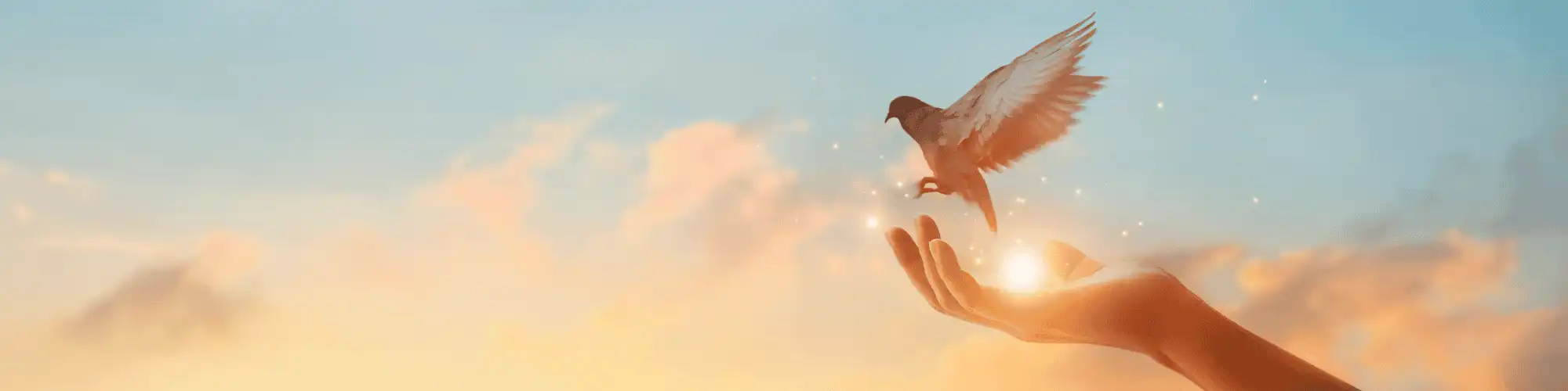 Healing Old Wounds: How AA Seattle Helped Me Find Forgiveness Discover how Alcoholics Anonymous meetings in Seattle helped one person find sobriety