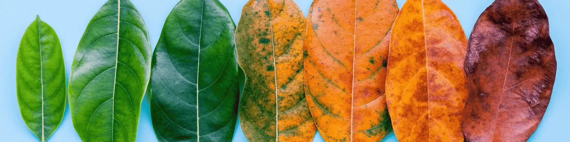 How AA Changed My Life: Visit Costa Mesa Alano Club Today Discover how AA changed my life. Visit Costa Mesa Alano Club for support