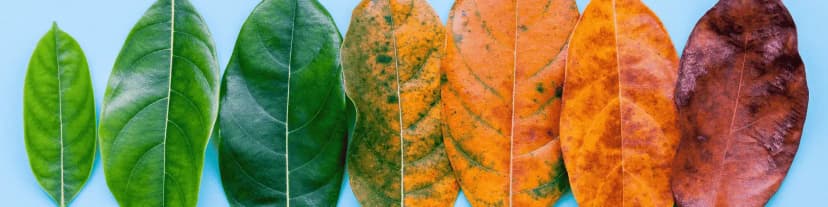 How AA Changed My Life: Visit Costa Mesa Alano Club Today