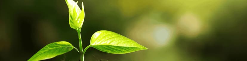 How AA Meetings and AA Hotline Gave Me a Second Chance at Life