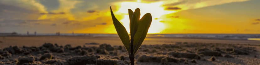 How AA Meetings Gave My Wife in Fresno Hope After Alcoholism