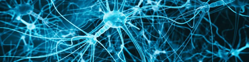 How Alcohol Affects the Nervous System: Local Portland AA Aid