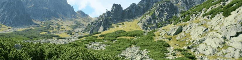 How Costa Mesa Alano Club Helps You Stay Committed to Sobriety