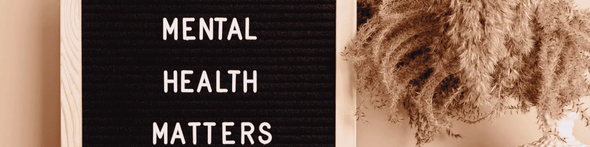 How Local AA Meetings Omaha Restored My Mental Health mental health matters