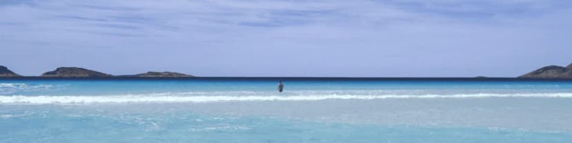 I Almost Gave Up, Then I Located AA SEPIA Meetings