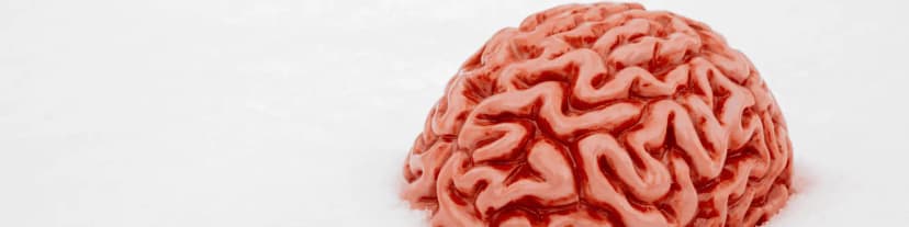 Impact of Alcohol Use on Neurogenesis: OC AA Meetings Insights