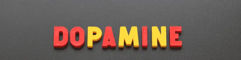 Join A Anonimos: The Role of Dopamine in Alcohol Addiction