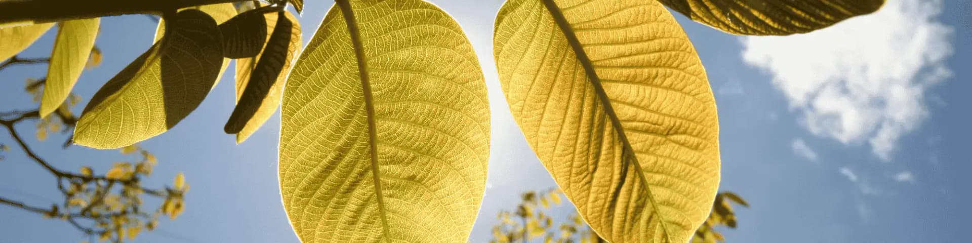 Join AA/NA Meetings and Connect with a Community of Hope Join AA/NA meetings and connect with a supportive community