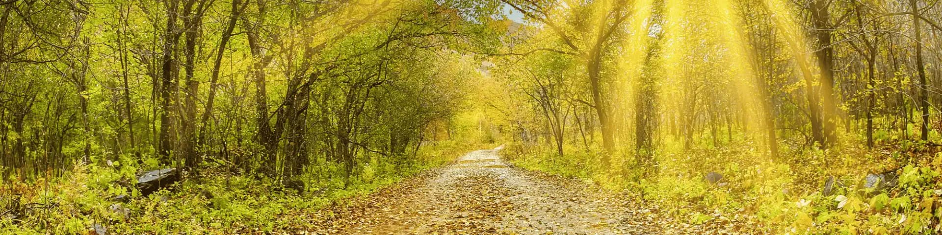 Join AA Meetings Near Me; A New Chapter Begins Today Join AA meetings near me today and find the support you need