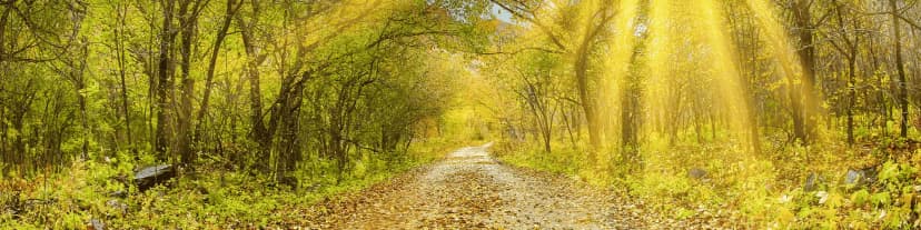 Join AA Meetings Near Me; A New Chapter Begins Today