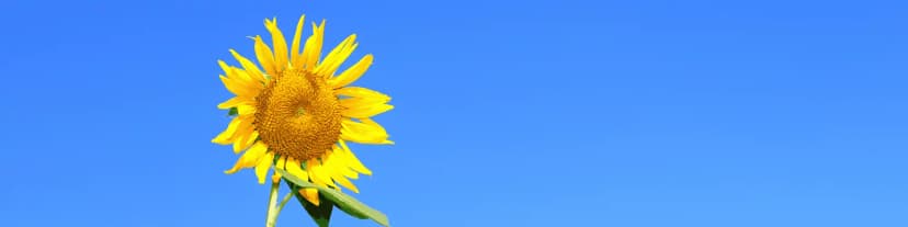 Join AA Meetings Orange County to Reverse Alcohol’s Effects