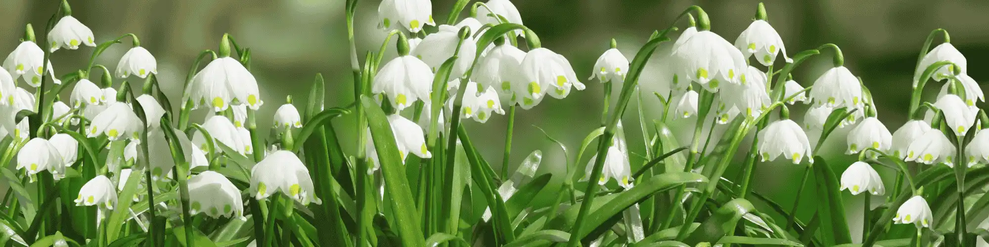 Join a Supportive Network: Seek NY Intergroup AA Meetings Seek NY Intergroup AA meetings for connection, encouragement, and guidance in your journey toward sobriety