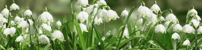 Join a Supportive Network: Seek NY Intergroup AA Meetings