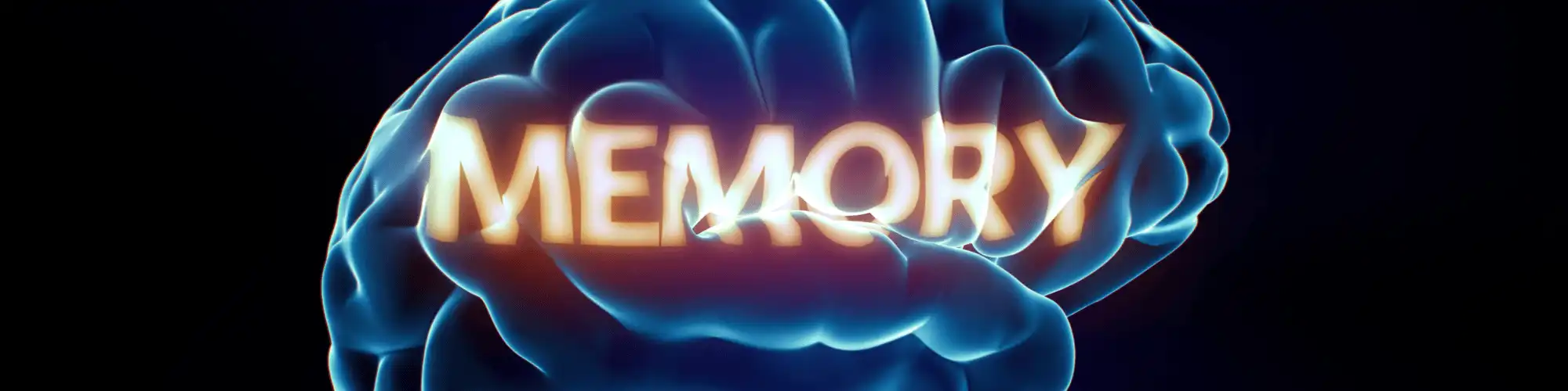 Learn About Alcohol and Its Impact on Memory with AA Orange County Attend AA meetings Orange County CA to support your journey to better mental and cognitive health.