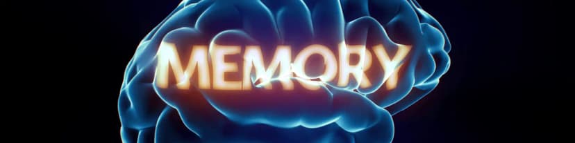 Learn About Alcohol and Its Impact on Memory with AA Orange County