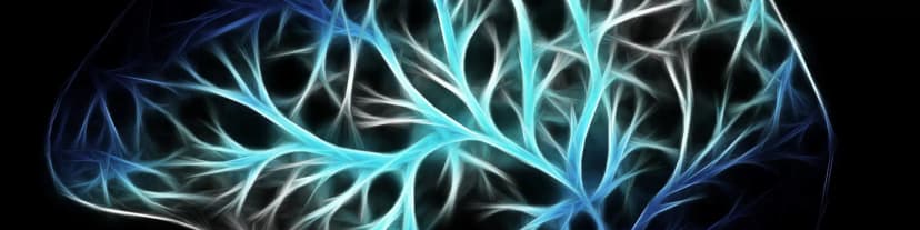 Learn About the Biology of Alcohol Dependence with A Anonimos