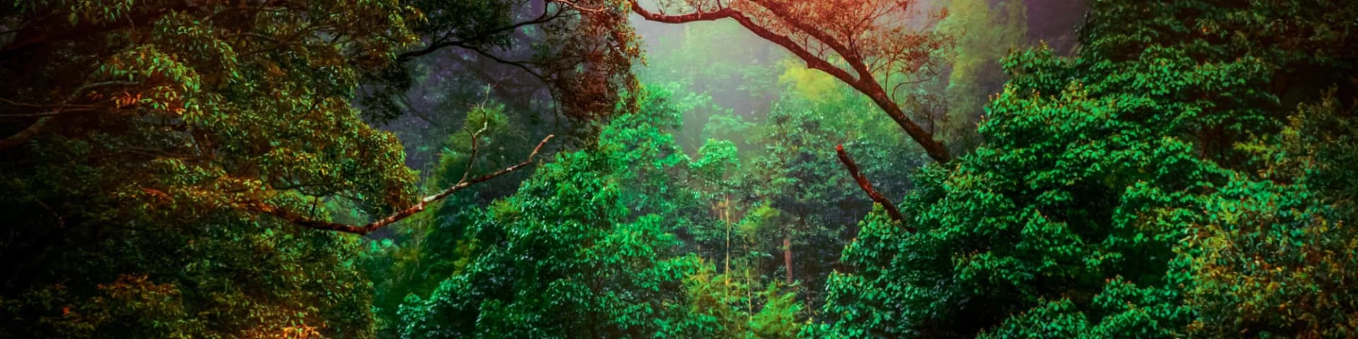 Let Stay Sober 24/11/25 Help You Overcome Negativity Let Stay Sober 24/11/25 Help You Overcome Negativity