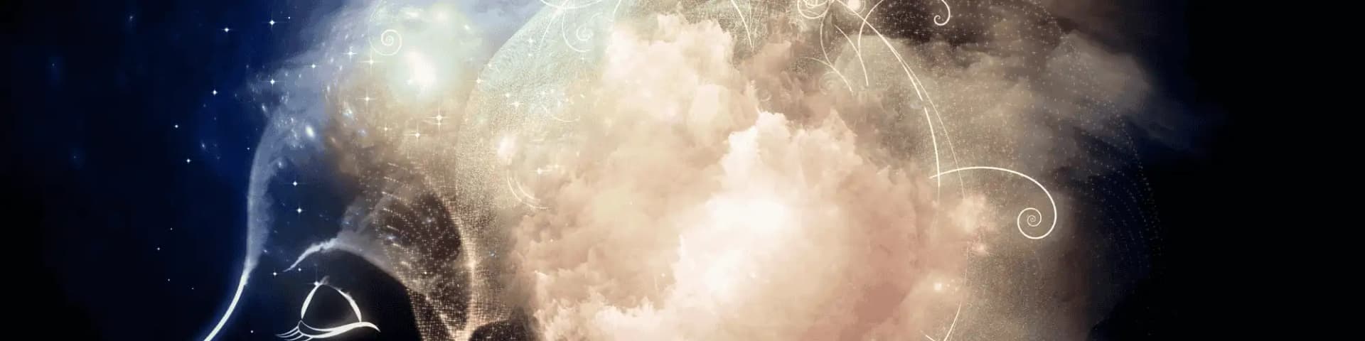 Locate AA Meetings San Diego: How Alcohol Rewires the Mind Discover how recovery is possible and locate AA meetings San Diego for support.