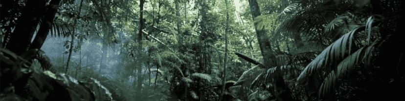 Locate AA Near Me; Because You Deserve a Better Life