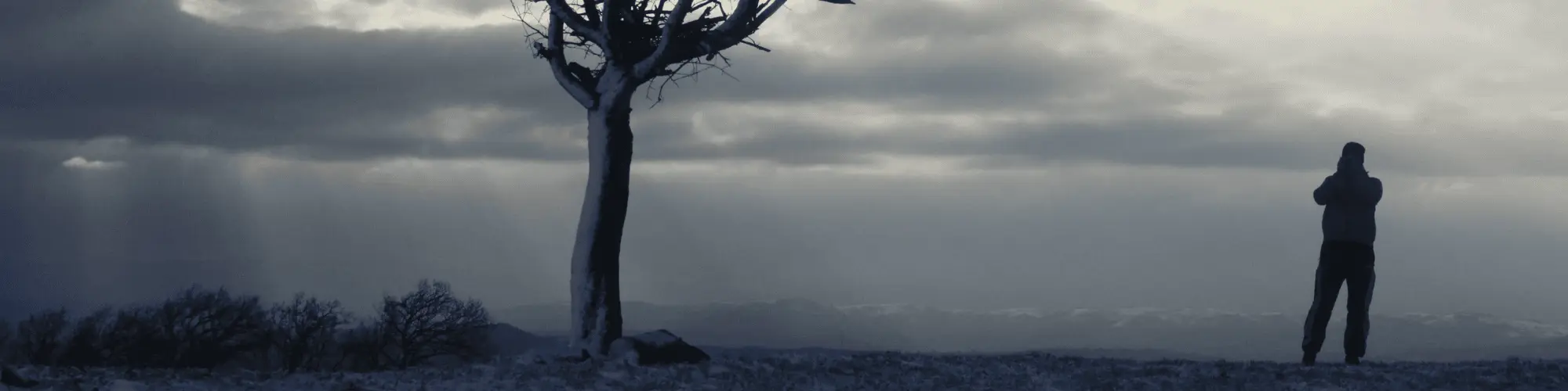 Managing Loneliness While Attending Arlington VA AA Meetings A man standing alone, representing loneliness