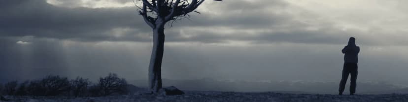 Managing Loneliness While Attending Arlington VA AA Meetings