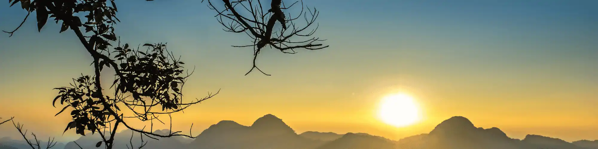 Moving Forward in Recovery: Seek NA Meetings San Diego for Hope Seek NA meetings San Diego for hope, shared experiences, and a safe space to overcome alcohol addiction