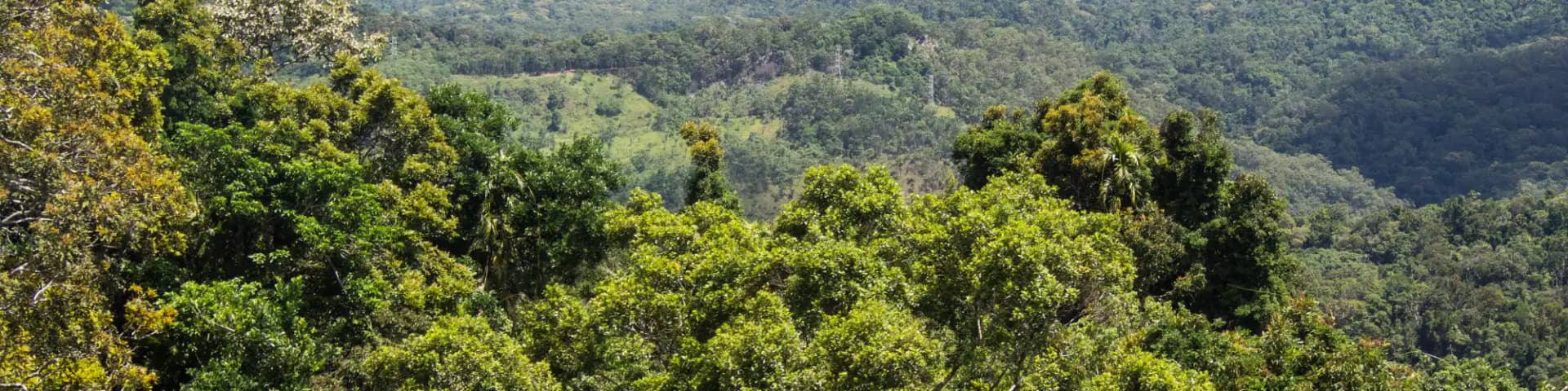 My Struggles with Relapse: explore NA meetings San Diego Discover how one person found hope again by choosing to explore NA meetings San Diego after relapse