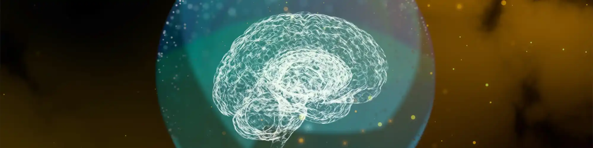 Neuroadaptive Changes in Alcoholism Through LA AA Meetings Explore how neuroadaptive changes in alcoholism affect the brain and how local LA AA meetings help