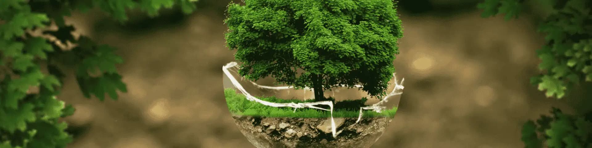 Reclaiming Life Through Local AA Meetings in Portland Growth symbolizing new life