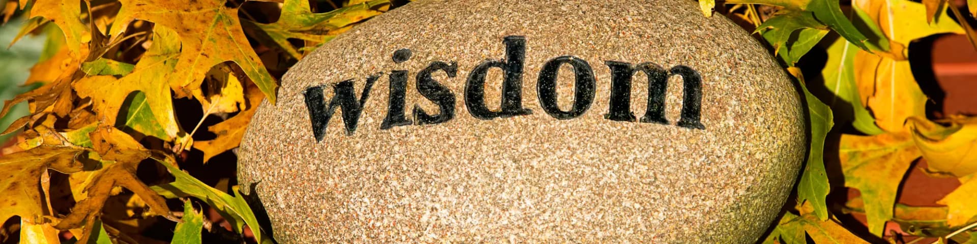 Reflect on the Central Lessons of Just for Today AA 12/24/25 Discover the Main Takeaways From Just for Today AA 12/24/25