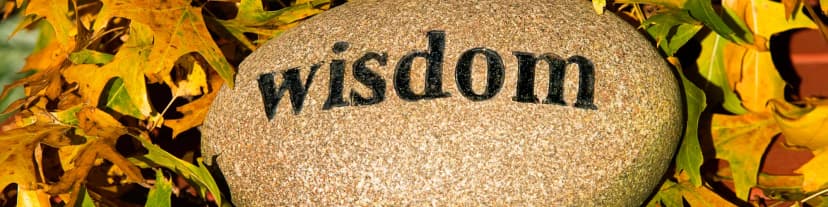 Acquire Daily Wisdom From Just for Today AA 12/24/25