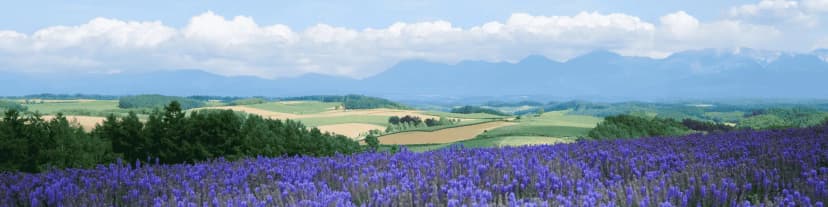 Relapsing and Returning to AA Meetings Austin TX Tonight