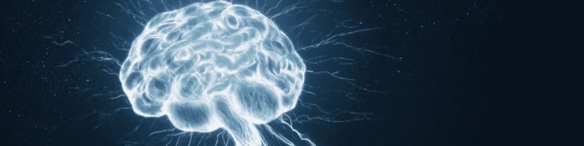 Reversing Cognitive Decline with a Local AA Schedule Near Me