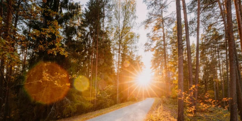 Hope After Addiction: San Diego AA Meetings Light the Way