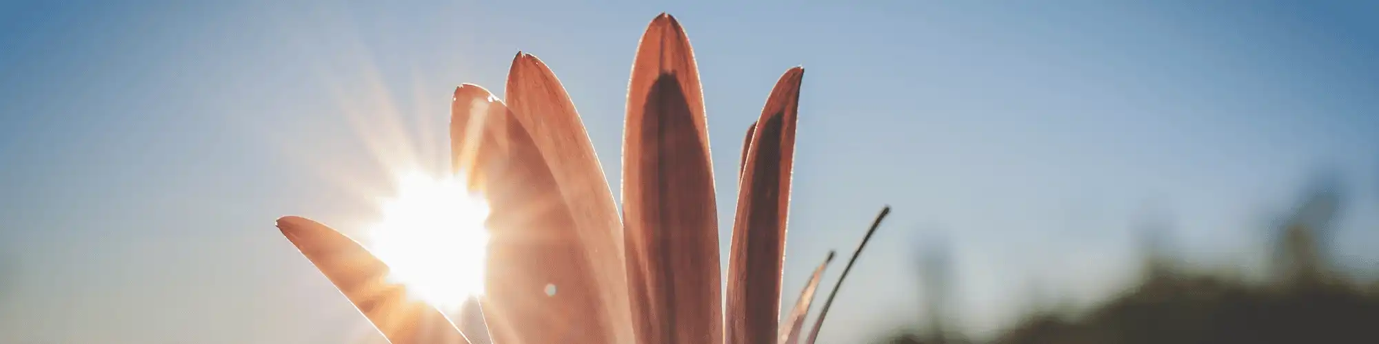 Say Yes to Sobriety! Find a Trusted AA Near Me Now Start your journey to sobriety today with the support of AA meetings