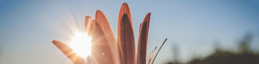 Say Yes to Sobriety! Find a Trusted AA Near Me Now