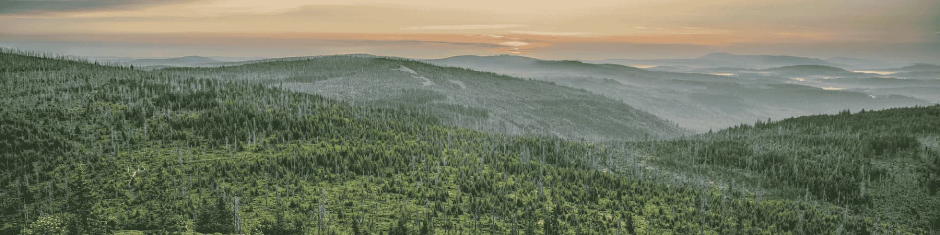 Seek AA Meetings Near Me for Alcohol Addiction Recovery Help Seek AA meetings near me and find the support you need for recovery