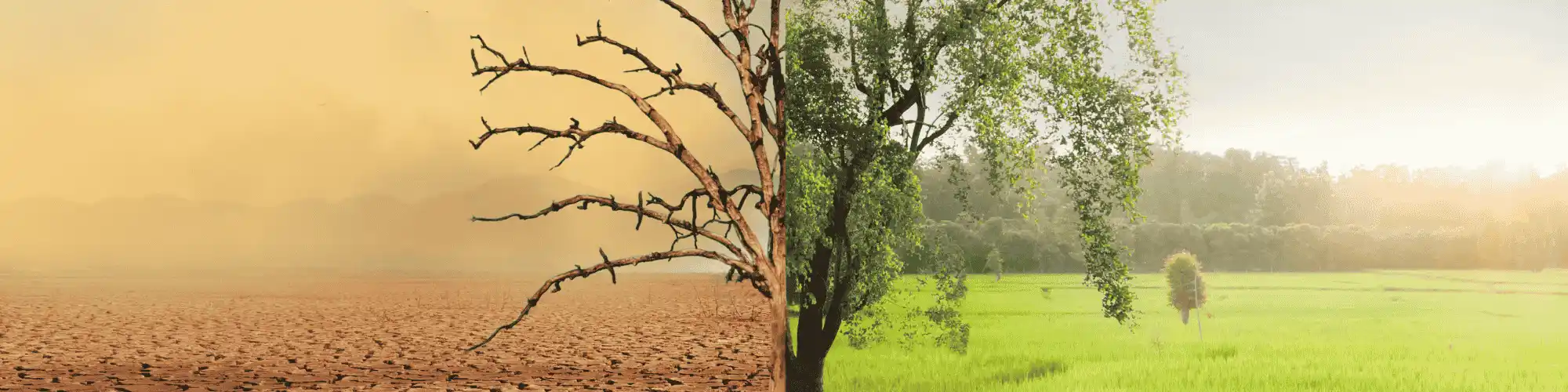 Small Wins in Sobriety with SEPIA AA That Changed My Life SEPIA AA taught me that progress isn’t just big milestones but everyday choices that shape a fulfilling, alcohol-free lif
