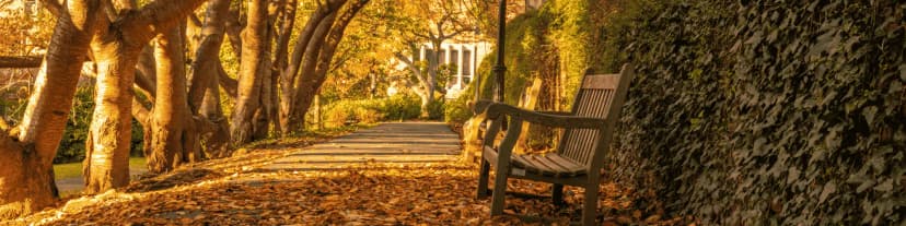 Smithtown Serenity AA Tonight: Addressing Alcohol Abuse in Adults