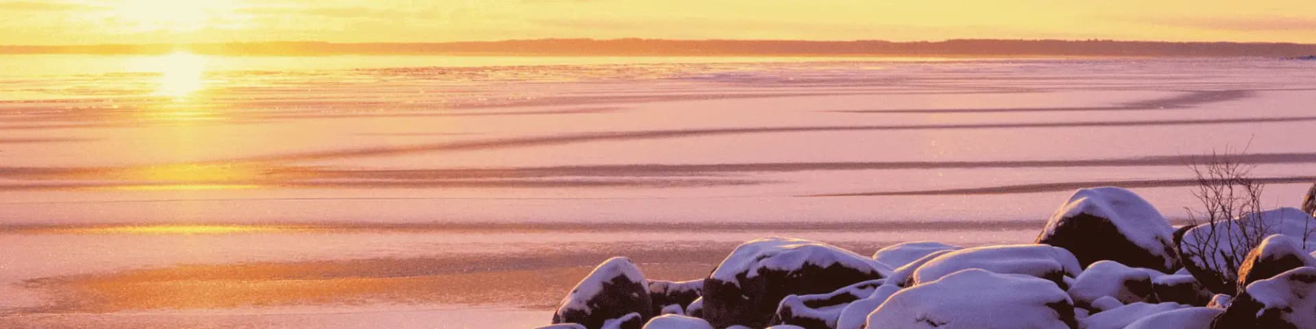 Sober Living Starts Now: Attend AA Meetings Near Me for Support Start your journey today with aa-meetings.com’s directory of local AA meetings