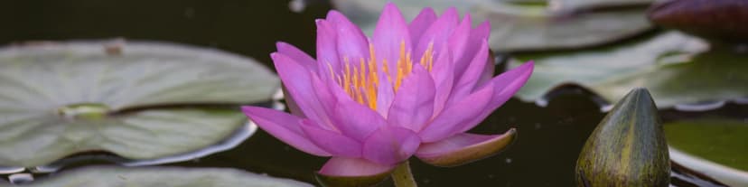 Stay Sober: Your Path to Enhanced Well-Being