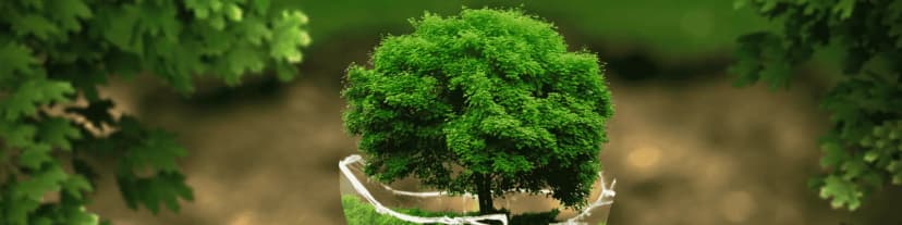 Step into Sobriety: Join Nearby AA Meetings Houston